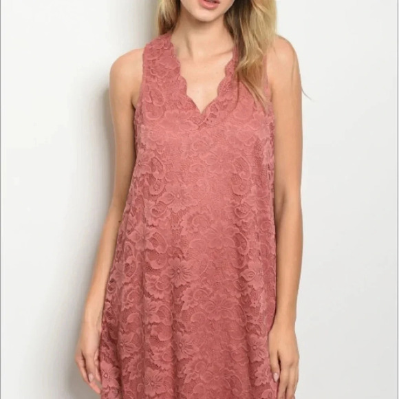 Francesca's Dusty Rose Lace Cut Out Mini Dress Sweet & Chic Size Medium - Picture 4 of 9